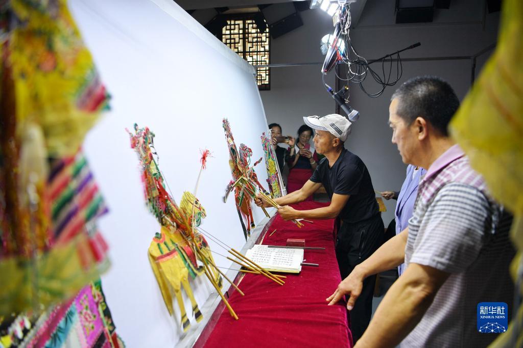 摇钱树app